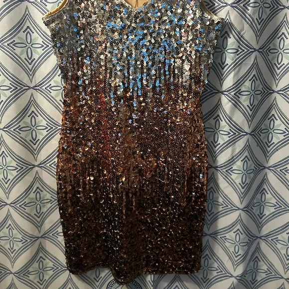 NWT Sequin Ombre Sleeveless Dress w/Perfectly in Tact Embellishments and Lined - Picture 12 of 16